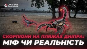 Чи є скорпіони на пляжах Дніпра: правда про сенсацію, що сколихнула місто