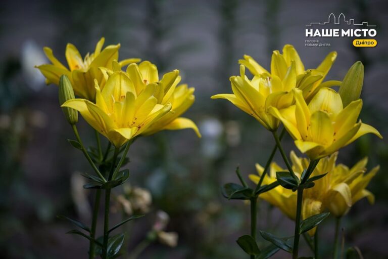 18 липня: день родинних цінностей і вшанування історичних подій