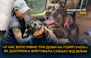 Зооволонтери з Дніпра врятували Фрею – собаку з Донеччини