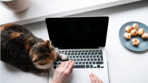 Поради психотерапевтки з Дніпра для ефективної роботи вдома