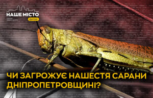 Чи загрожує сарана Дніпропетровщині: ситуація на місцях