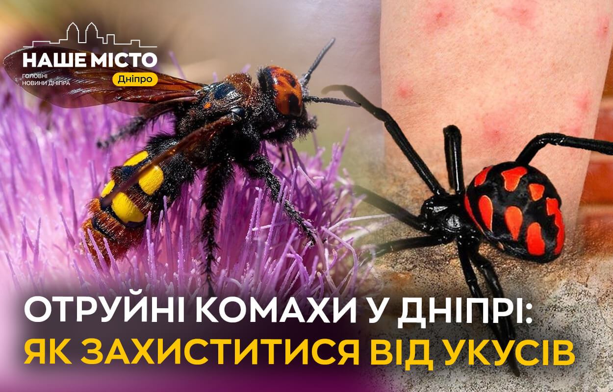 Літня небезпека: як захиститися від отруйних комах у Дніпрі