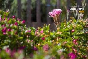 Народні прикмети 20 серпня: що категорично заборонено робити у цей день