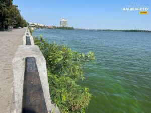 Дніпро зацвів: ризики купання у зеленій воді