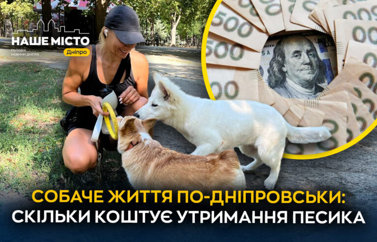 Витрати на утримання собак у Дніпрі: скільки грошей йдуть на чотирилапих друзів?