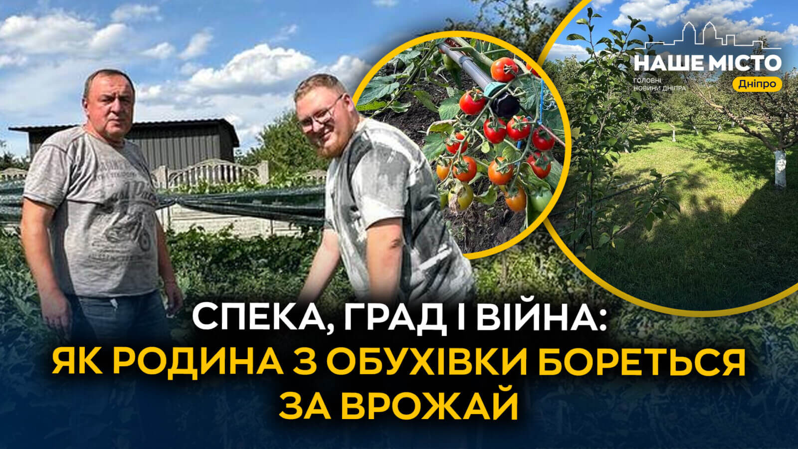 Негода та війна: як виживають городи у Дніпропетровщині