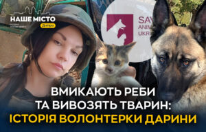 Волонтери рятують тварин із прифронтових зон Дніпра