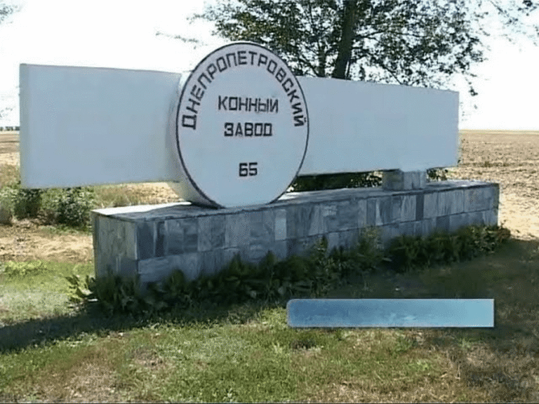 Атака дронами на кінний завод у Дніпропетровщині: об’єкт пошкоджено