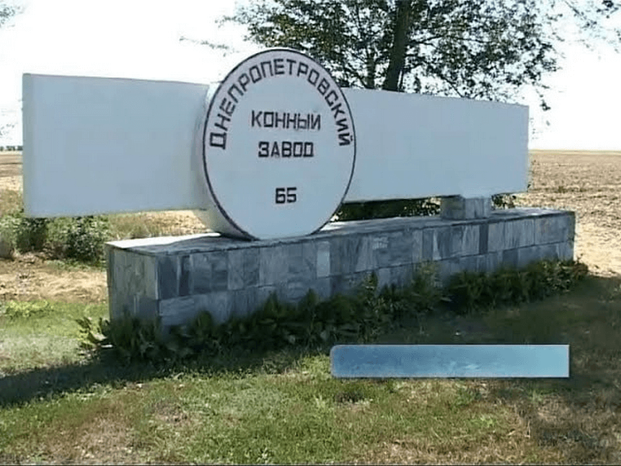 Атака дронами на кінний завод у Дніпропетровщині: об’єкт пошкоджено