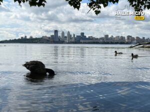 Не стало до обстрілів: як пройшла ніч у Дніпрі