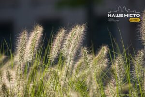 29 серпня – день пам’яті Івана Хрестителя: традиції та заборони