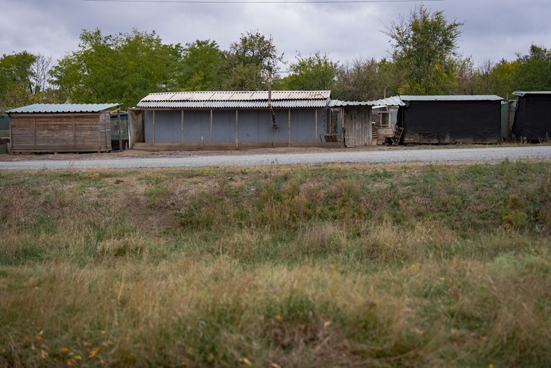 Перевірка притулку під Дніпром: знайдено антисанітарію та недогляд за тваринами