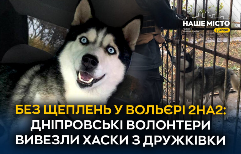 Дніпровські волонтери рятували хаски з прифронтової Дружківки