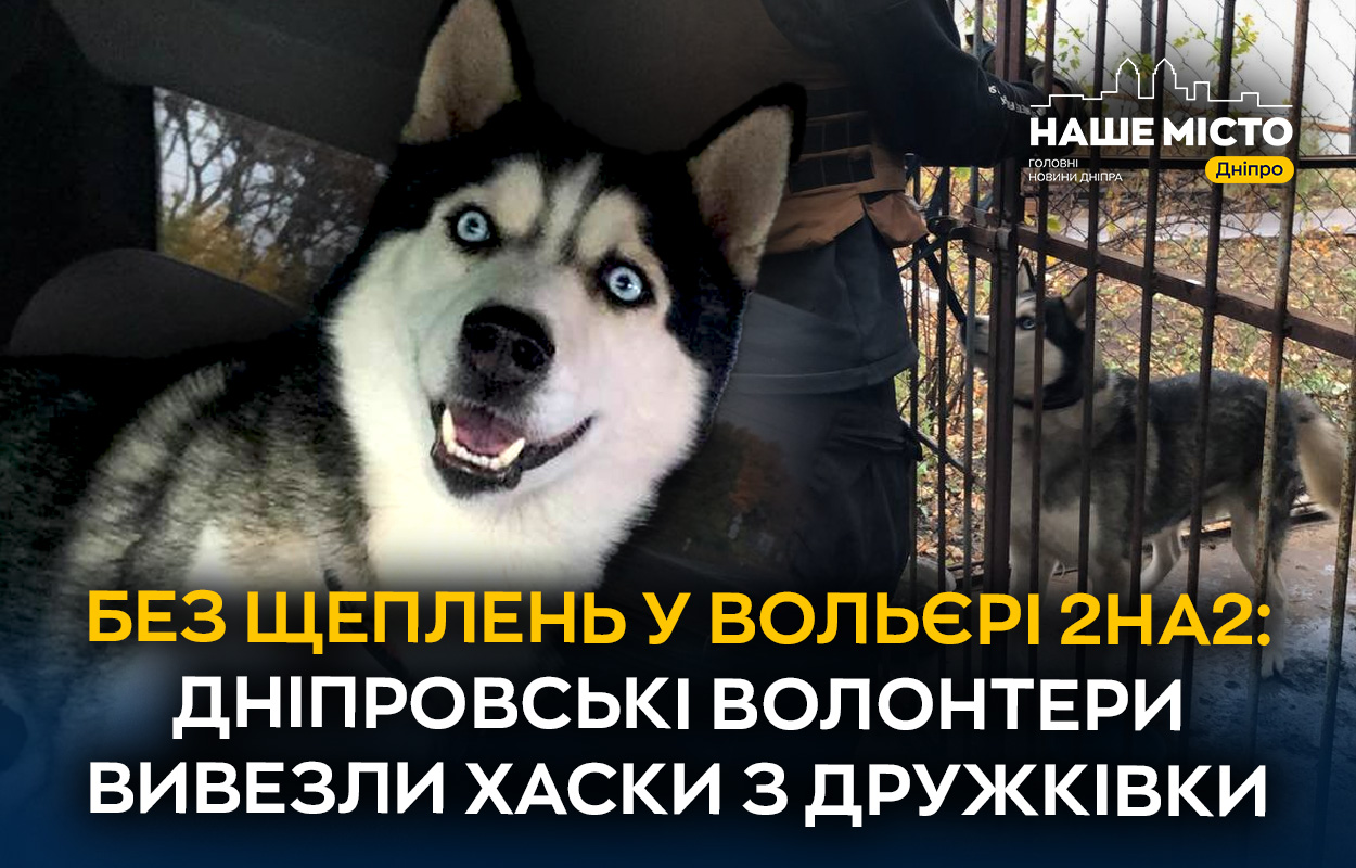 Дніпровські волонтери рятували хаски з прифронтової Дружківки