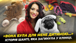 Трагедія у Дніпрі: собака загинув після операції у ветклініці