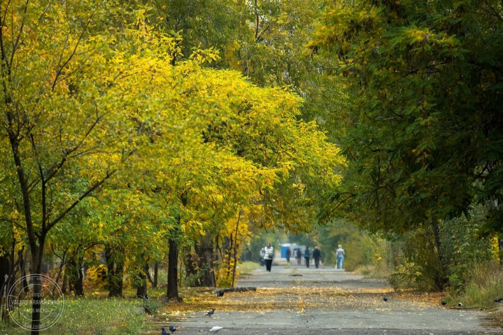 Дощі на півночі та тепло на півдні: погода в Україні 31 жовтня
