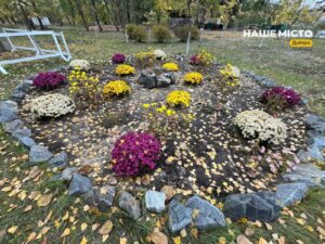 Нові клумби та лавандове поле у парку Сагайдак