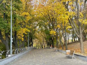 Осіння краса Дніпра: парки міста у золотому убранні