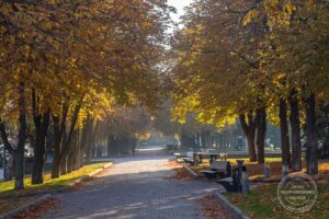 29 жовтня: особливі події та народні традиції дня