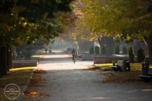 Температура підніметься: якою буде погода 30 жовтня