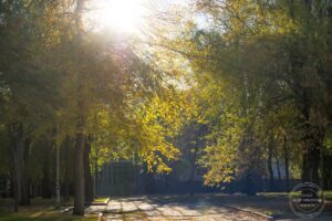 Сонячні вихідні: прогноз погоди для Дніпра і України