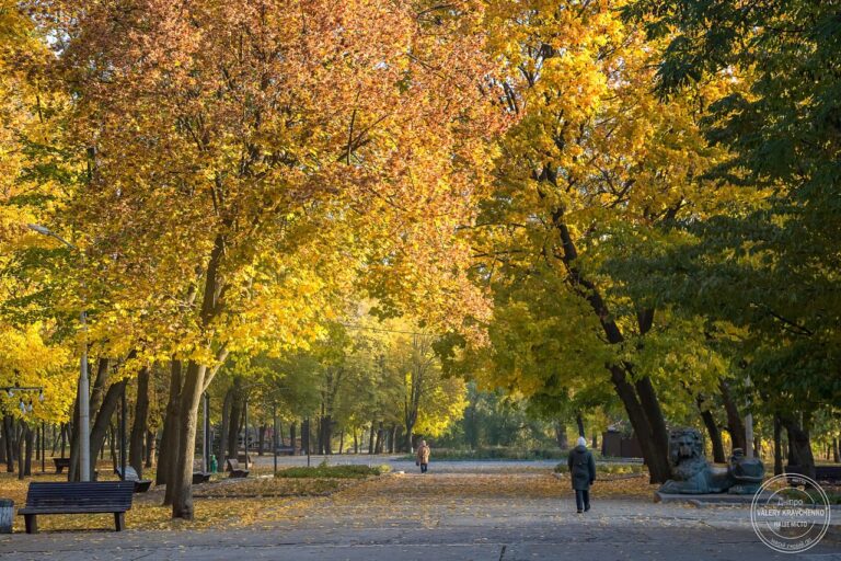 Осіння погода влаштовує ідеальний день у Дніпрі