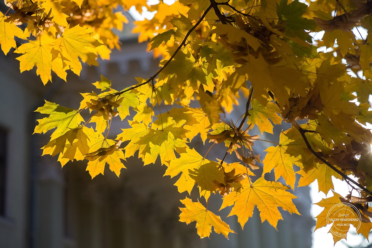 Традиції та прикмети 31 жовтня: що не варто робити у цей день