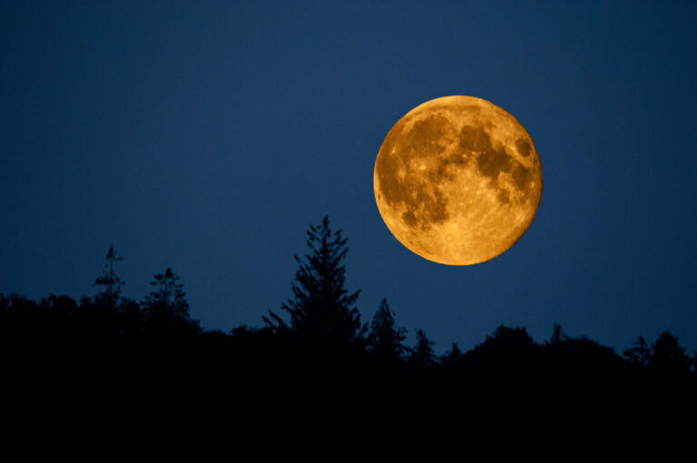 Надзвичайний супермісяць осяє Україну: чекайте в листопаді