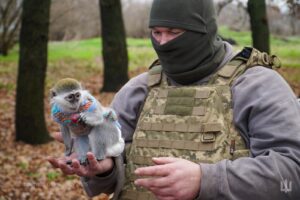 Мавпочка Зіна стала талісманом бригади ТрО у Дніпрі