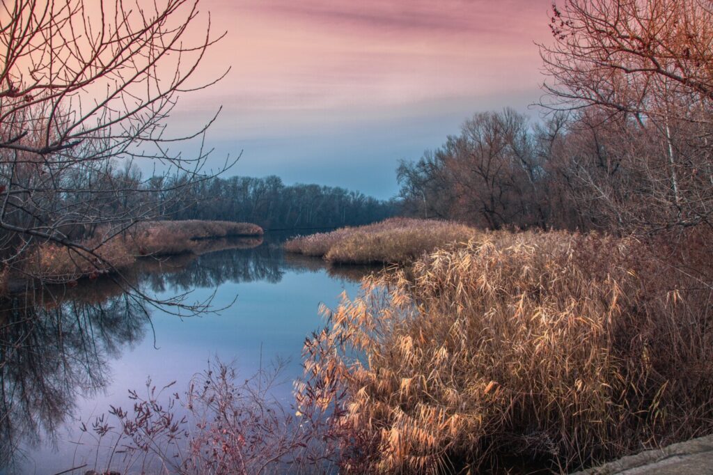 Діївські плавні восени: чарівні фото з Дніпровської області