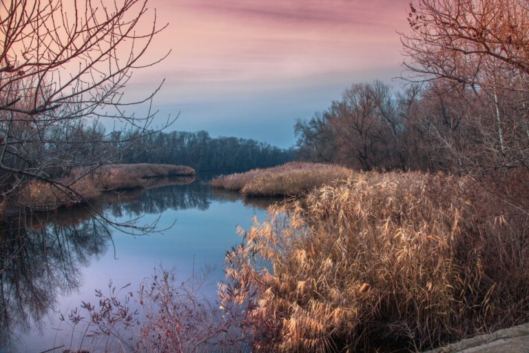 Діївські плавні восени: чарівні фото з Дніпровської області