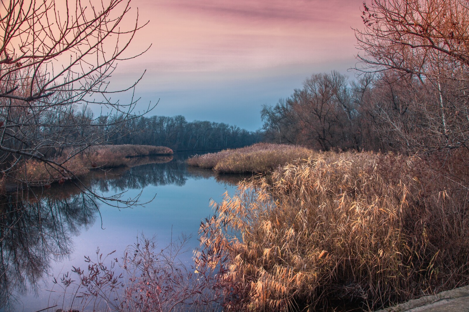 Діївські плавні восени: чарівні фото з Дніпровської області