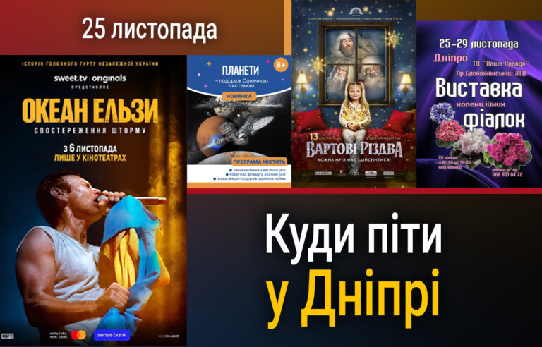 Виставка рідкісних фіалок у Дніпрі: де і коли?