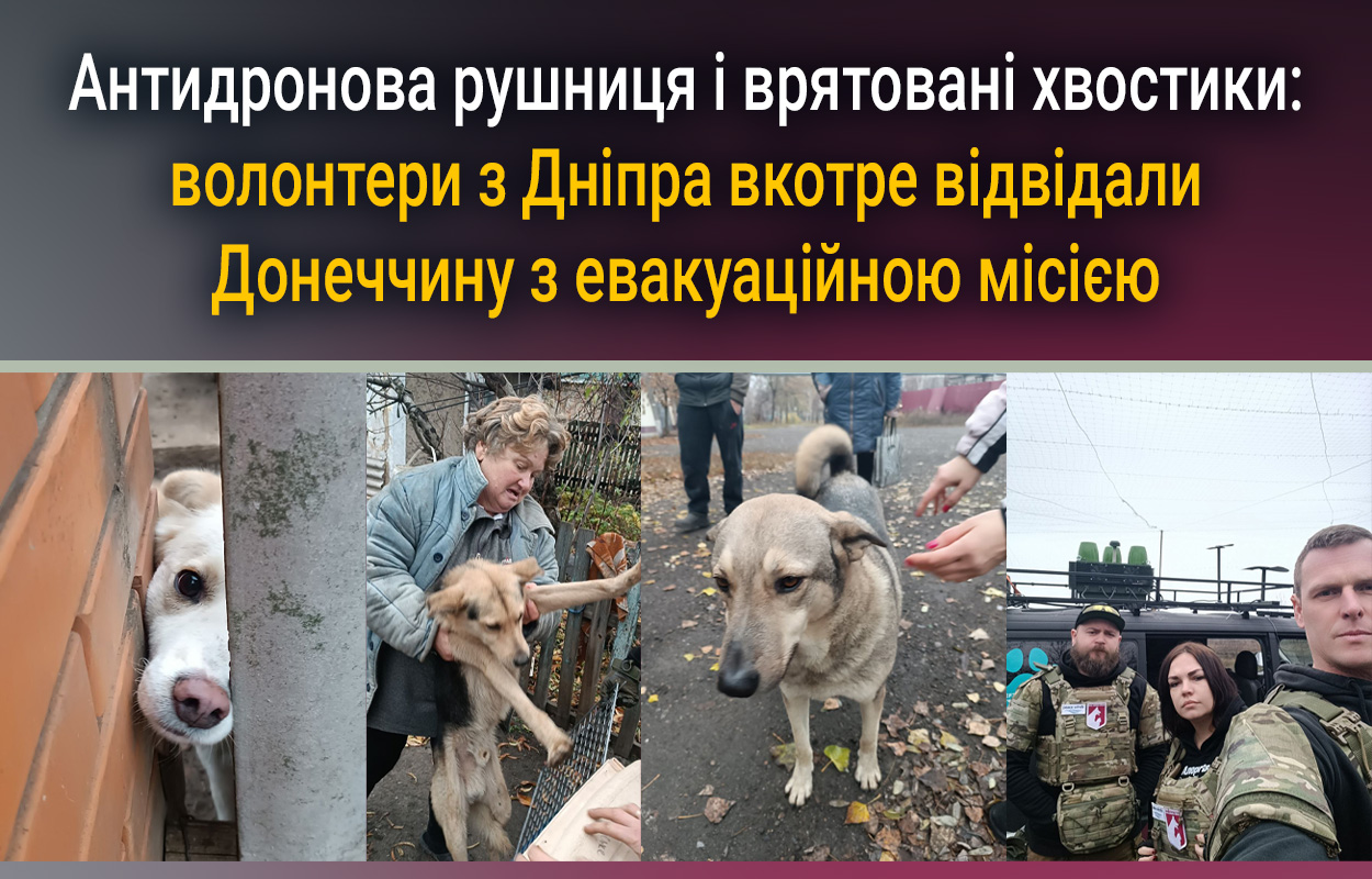 Антидронова рушниця та рятунок тварин: місія дніпровських волонтерів на Донеччині