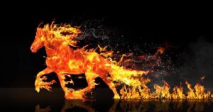 Тварина-символ 2026: яку удачу вона принесе?