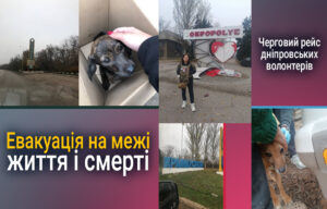 Дніпряни допомагають врятувати тварин в зоні бойових дій
