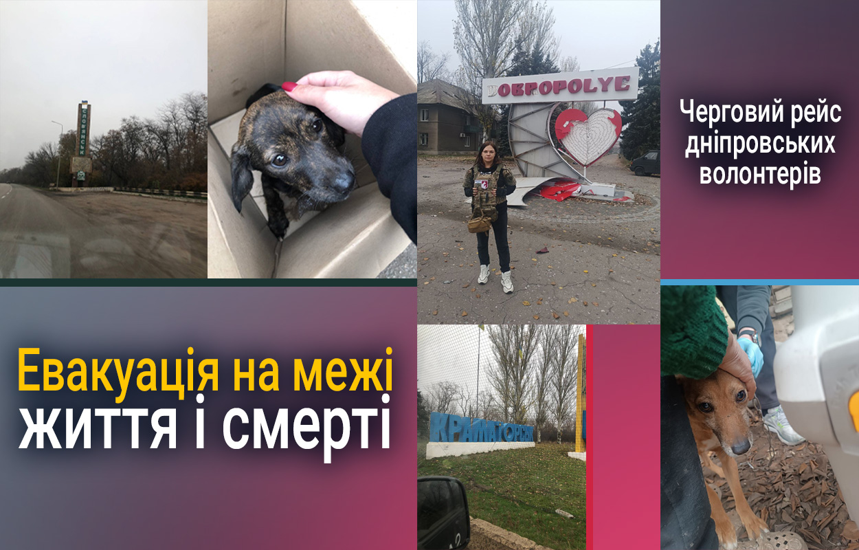 Дніпряни допомагають врятувати тварин в зоні бойових дій