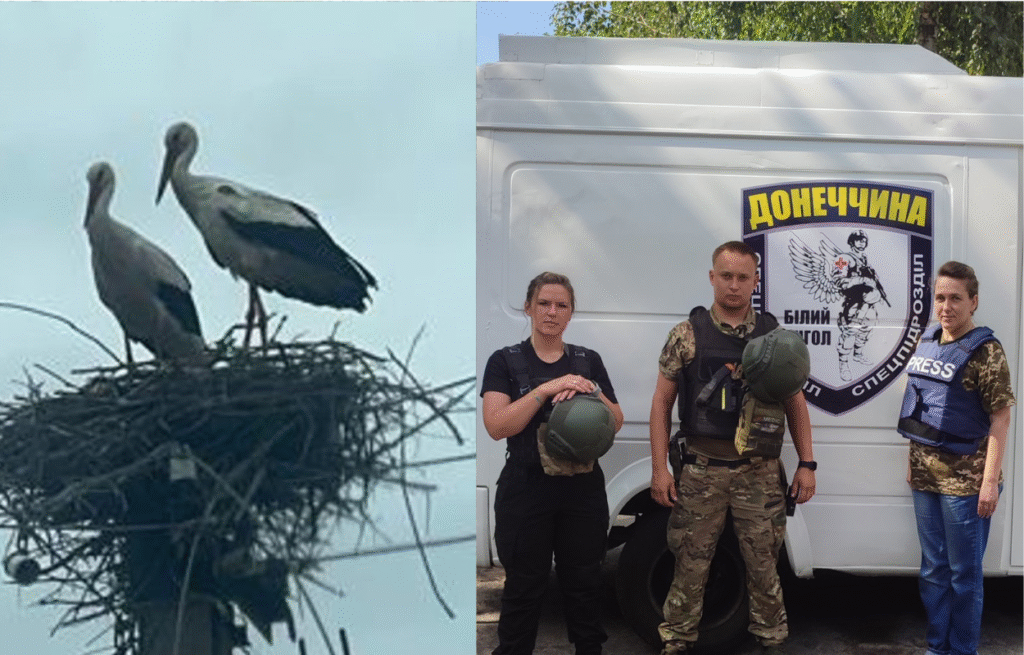 Лелеки знову в небі над Торським: символ надії посеред війни