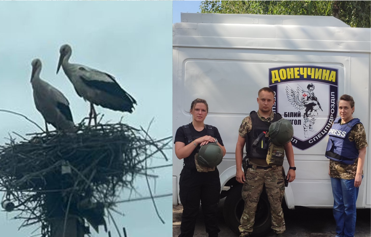 Лелеки знову в небі над Торським: символ надії посеред війни
