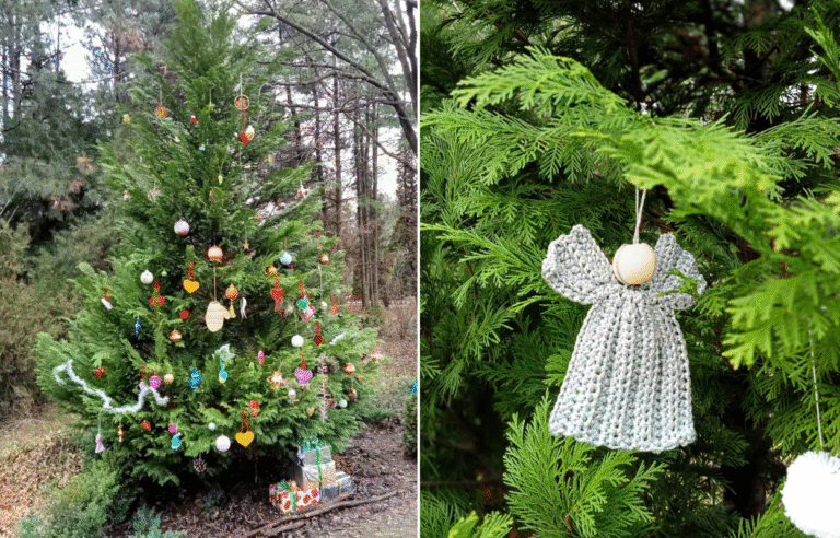 Дніпро: ботсад запрошує на майстер-класи з прикраси ялинки