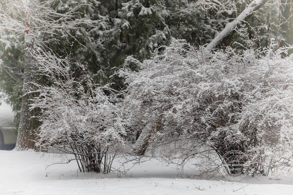 Грудень принесе хуртовини та мокрий сніг