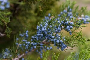 5 листопада: День поширення інформації про цунамі