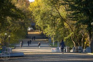 Осінній роздол у парку Глоби