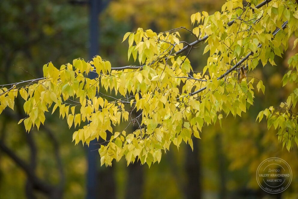 12 листопада: день Йосафата та народні заборони