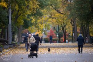 У парках Дніпра діють безкоштовні Wi-Fi зони під час знеструмлень