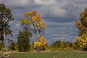 Нічні вибухи у Дніпрі: що відомо про ситуацію станом на ранок