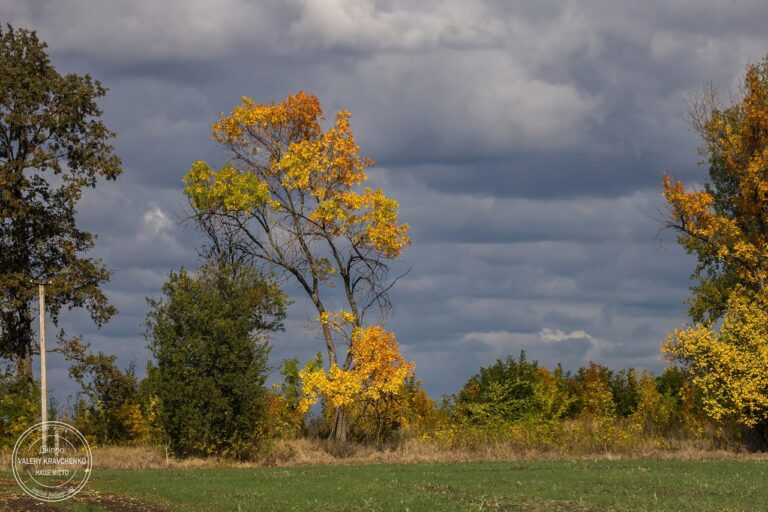 Нічні вибухи у Дніпрі: що відомо про ситуацію станом на ранок