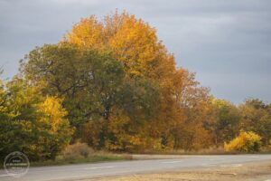 Спокійна ніч у Дніпрі: місто без тривог та обстрілів