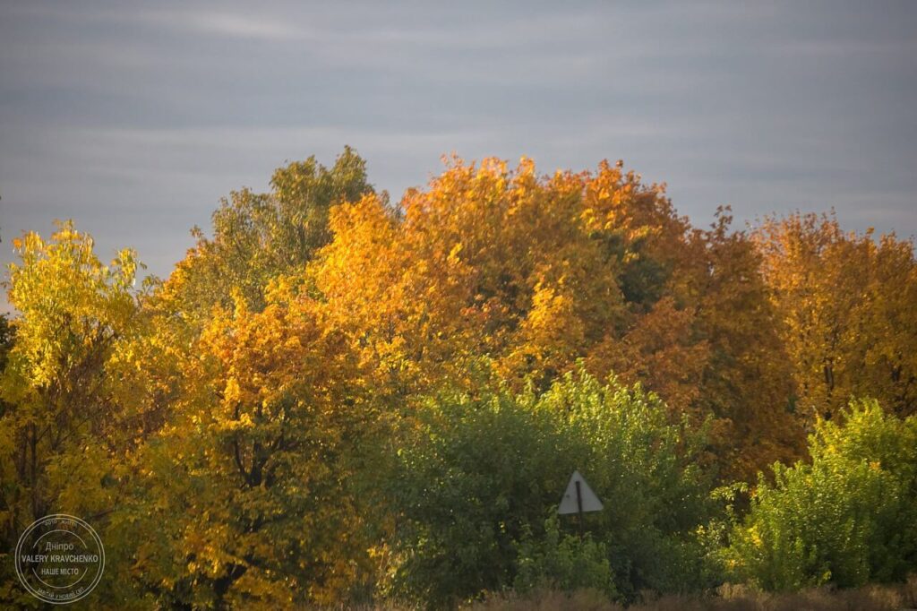 Теплий листопад: Україна відчує друге бабине літо