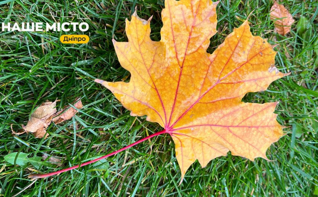 У Дніпрі побито температурний рекорд листопада